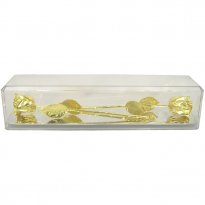 2 Gold Dipped Roses in 50th Anniversary Museum Case
