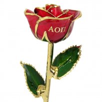 Personalized Alpha Omicron Pi Greek Letters 11" Rose Gift