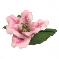 Pink Capodimonte Porcelain Lily