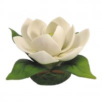 Capodimonte Porcelain Magnolia