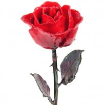 Antique Copper Rose: 11"  Red Rose