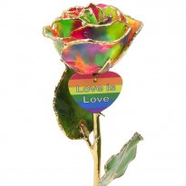 8" LGBT Pride Rainbow Rose Gift