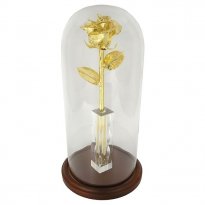 11"  24k Gold Dipped 50th Anniversary Enchanted Rose