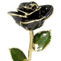 24k Gold Trimmed Rose: 11" Black Rose