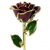24k Gold Trimmed Rose: 11" Burgundy Rose