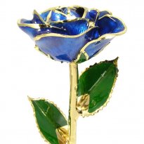 24k Gold Trimmed Rose: 11" Dark Blue Rose