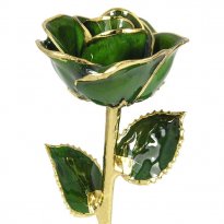 24k Gold Trimmed Rose: 11" Dark Green Rose