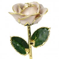 24k Gold Trimmed Rose: 11" Ivory White Rose