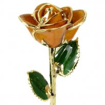 24k Gold Trimmed Rose: 11" Peach Rose