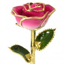 24k Gold Trimmed Rose: 11" Pink and Cream Rose