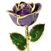 24k Gold Trimmed Rose: 11" Purple Rose