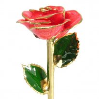 11" 24k Gold Trimmed Bright Red Sparkle Rose