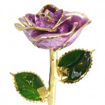 11" 24k Gold Trimmed Lavender Sparkle Rose