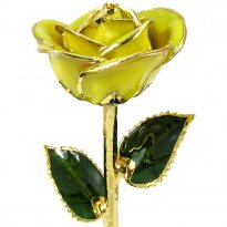24k Gold Trimmed Yellow Celebration Rose