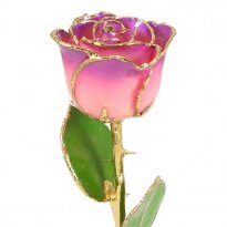 11" 24k Gold Trimmed Pink Amethyst Rose