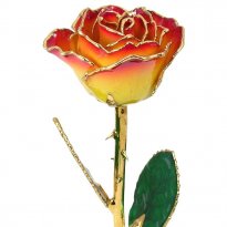 24k Gold Trimmed Rose: 11" Tequila Sunrise Rose