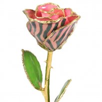 11" 24k Gold Trimmed Pink Zebra Rose