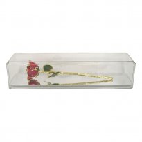 24k Gold Trimmed Rose in Museum Case