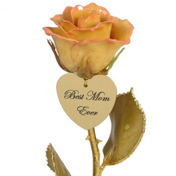 The Ivory Rose Gift