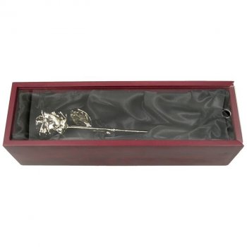 All Platinum Rose & Rosewood Case 20th Anniversary Gift ...