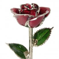 Platinum Trimmed Rose: 11" Burgundy Rose