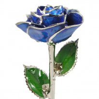 Platinum Trimmed Rose: 11" Dark Blue Rose