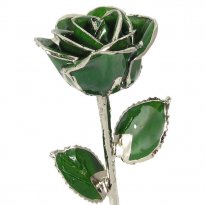 Platinum Trimmed Rose: 11" Dark Green Rose