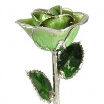 Platinum Trimmed Rose: 11" Light Green Rose