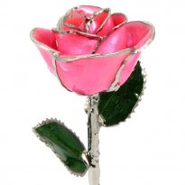 Platinum Trimmed Rose: 11" Pink Rose