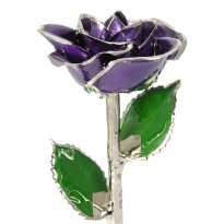 Platinum Trimmed Rose: 11" Purple Rose