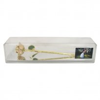 Anniversary Rose in Museum Case with Engraved Photo