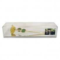 Preserved Graduation Rose in Case with Custom Photo