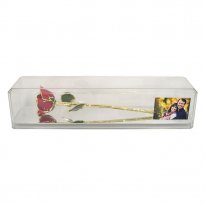 Preserved Rose in Museum Case with Engraved Photo