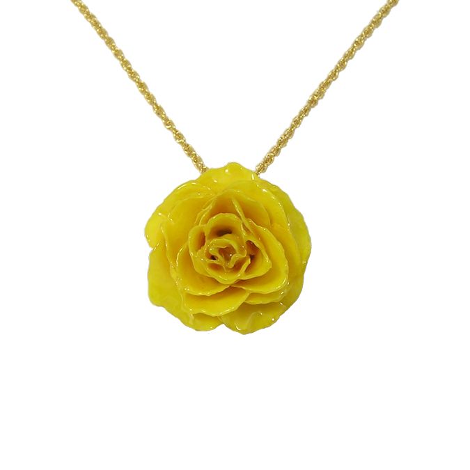 Preserved Real Rose Pendant and 24k Gold Chain: Love Is A Rose