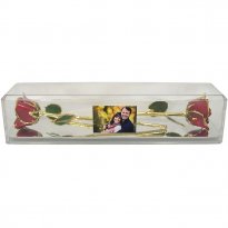 2 Preserved Roses in Museum Case with Custom Photo