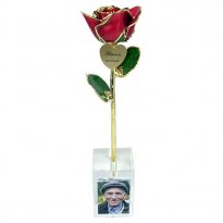 11" Preserved Rose in Personalized Memorial Photo Vase