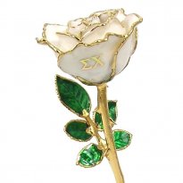 8" 24k Gold Personalized Sigma Chi Greek Letters Rose Gift