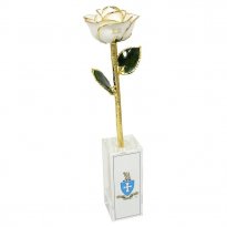 11" Personalized Sigma Chi Rose Gift in Vase with Crest