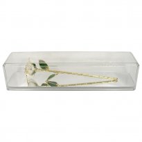 Personalized Sigma Chi Gold Rose Gift in Museum Case