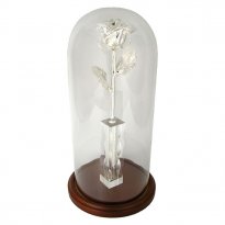 25th Anniversary 11" Enchanted Silver Dipped Rose