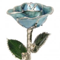 Silver Trimmed Light Blue 11" Rose