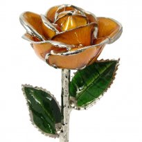 Silver Trimmed Rose: 11" Peach Rose
