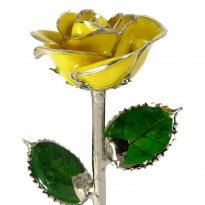 Silver Trimmed Rose: 11" Yellow Rose
