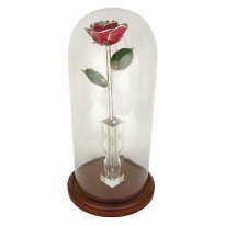 Enchanted Silver Rose: 11" Trimmed Rose