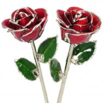 His and Her 11" Silver Trim Roses