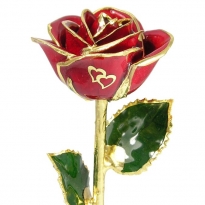 11" Two Hearts of Love Rose Gift