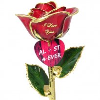 Valentine's Day I Love You Rose and Couples Heart