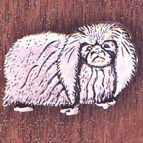 Sterling Silver Dog Pin: Pekingese