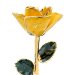 1st Anniversary Gold Yellow Rose