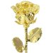 Fully Gold Dipped Rose